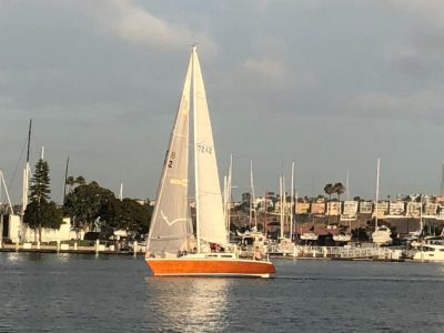 Tinderbox returning from a SUNSET SERIES race